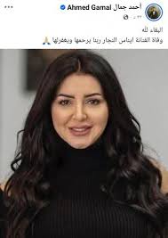 من هو زوج الفنانة إيناس النجار ويكيبيديا، مرض ايناس النجار
