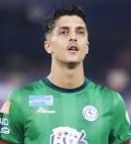 اللاعب فيصل الغامدي ويكيبيديا، السيرة الذاتية