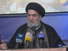 ابراهيم امين السيد ويكيبيديا